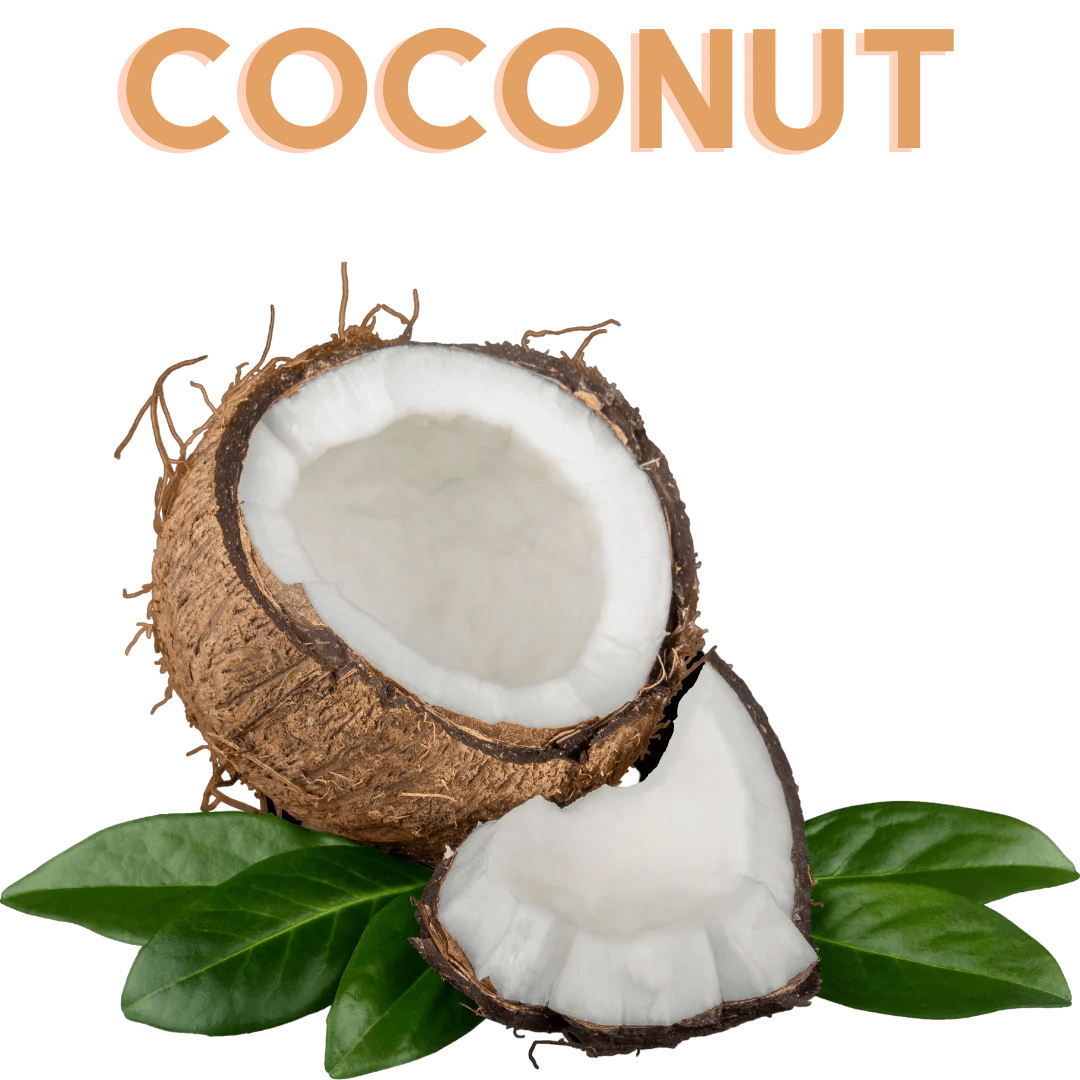 Single Note Coconut Flavor Concentrate Friendly Send Flavors