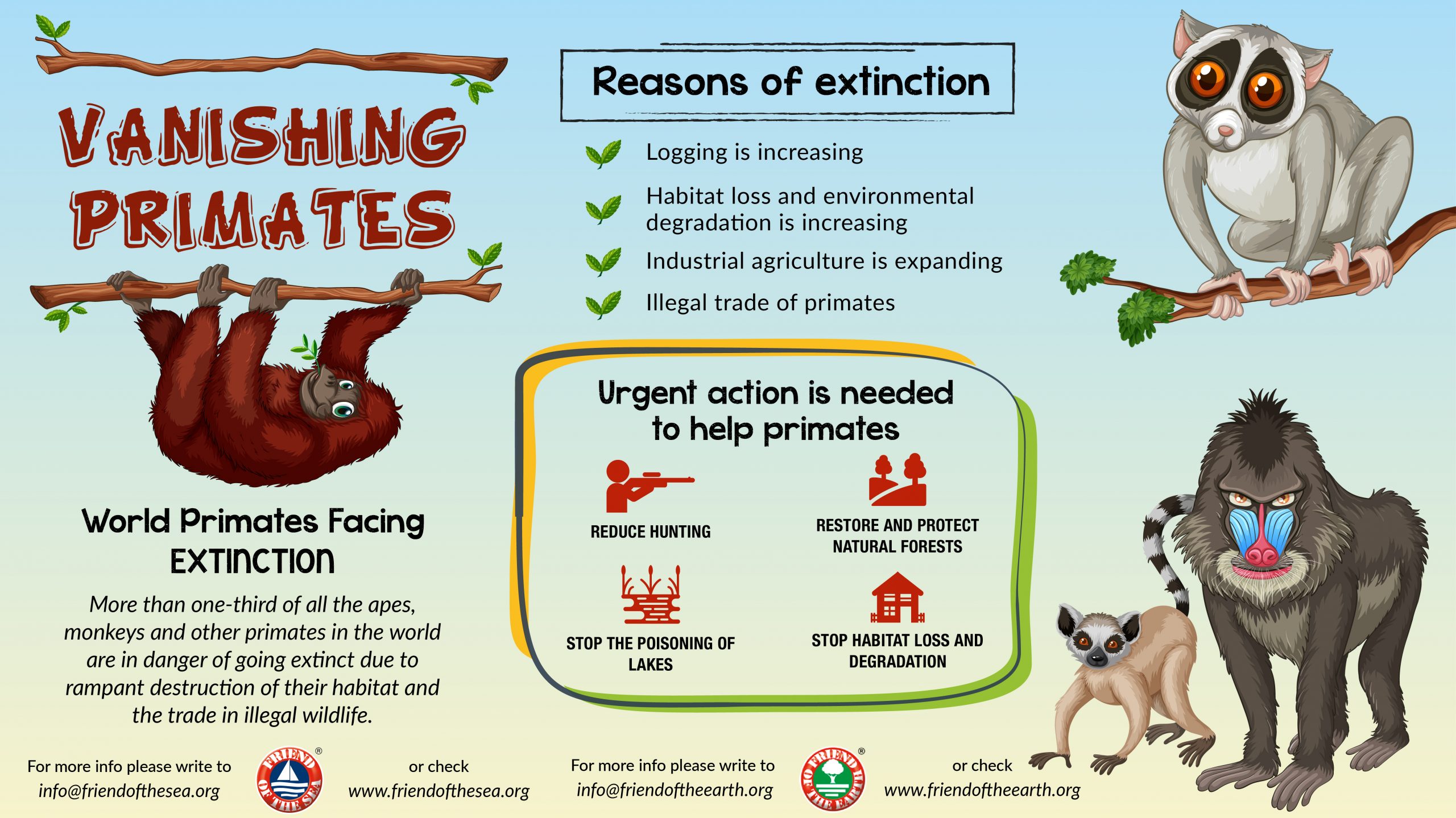 Save The Primates Campaign Possible Solutions To Save FOS