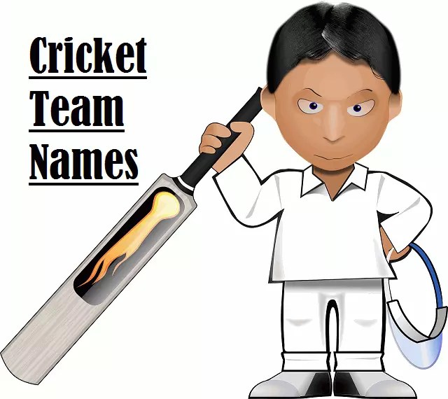Unique Team Names【2024】For Cricket, Work, And Business