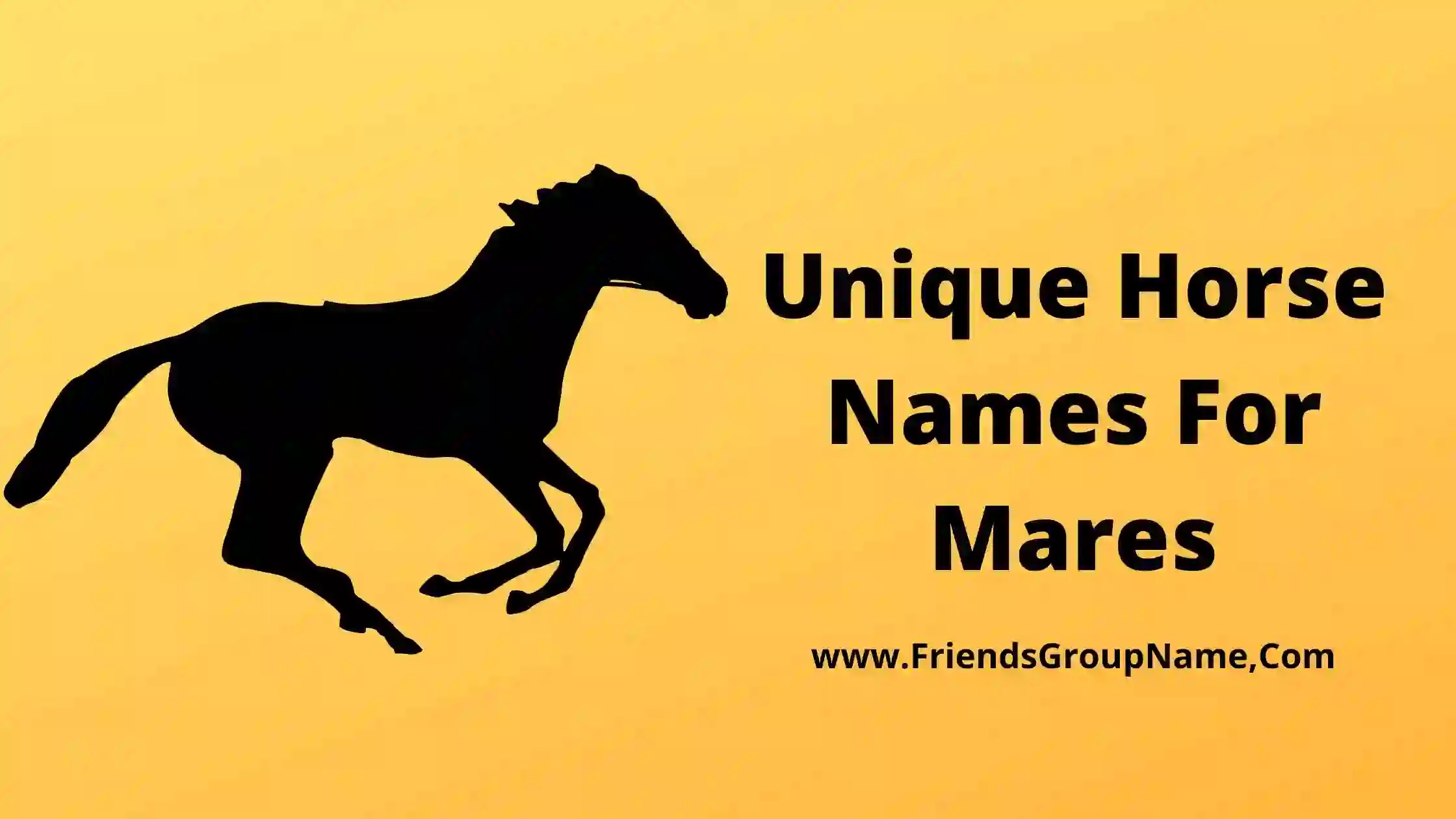 417+ Unique Horse Names For Mares 2024