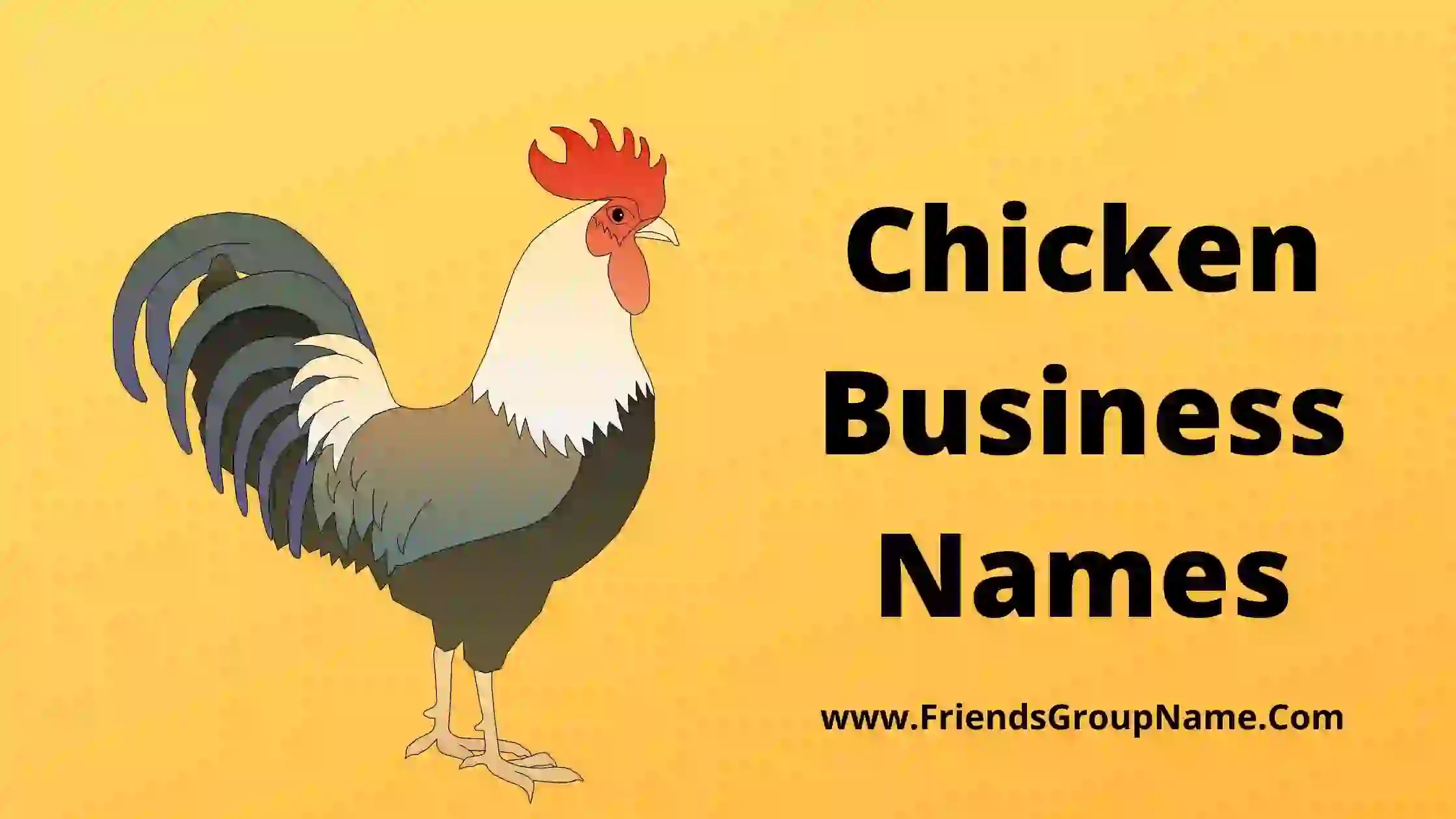Chicken Business Names【2024】Best, Funny & Good Chicken Names For