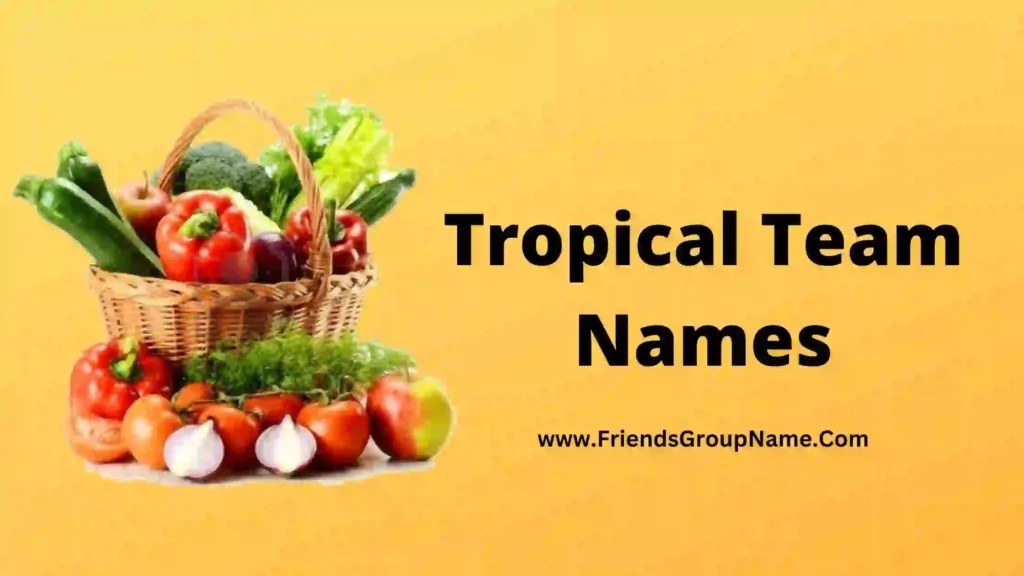 Vegetable Shop Names【2024】Best & Good Shop Names Ideas For Vegetable