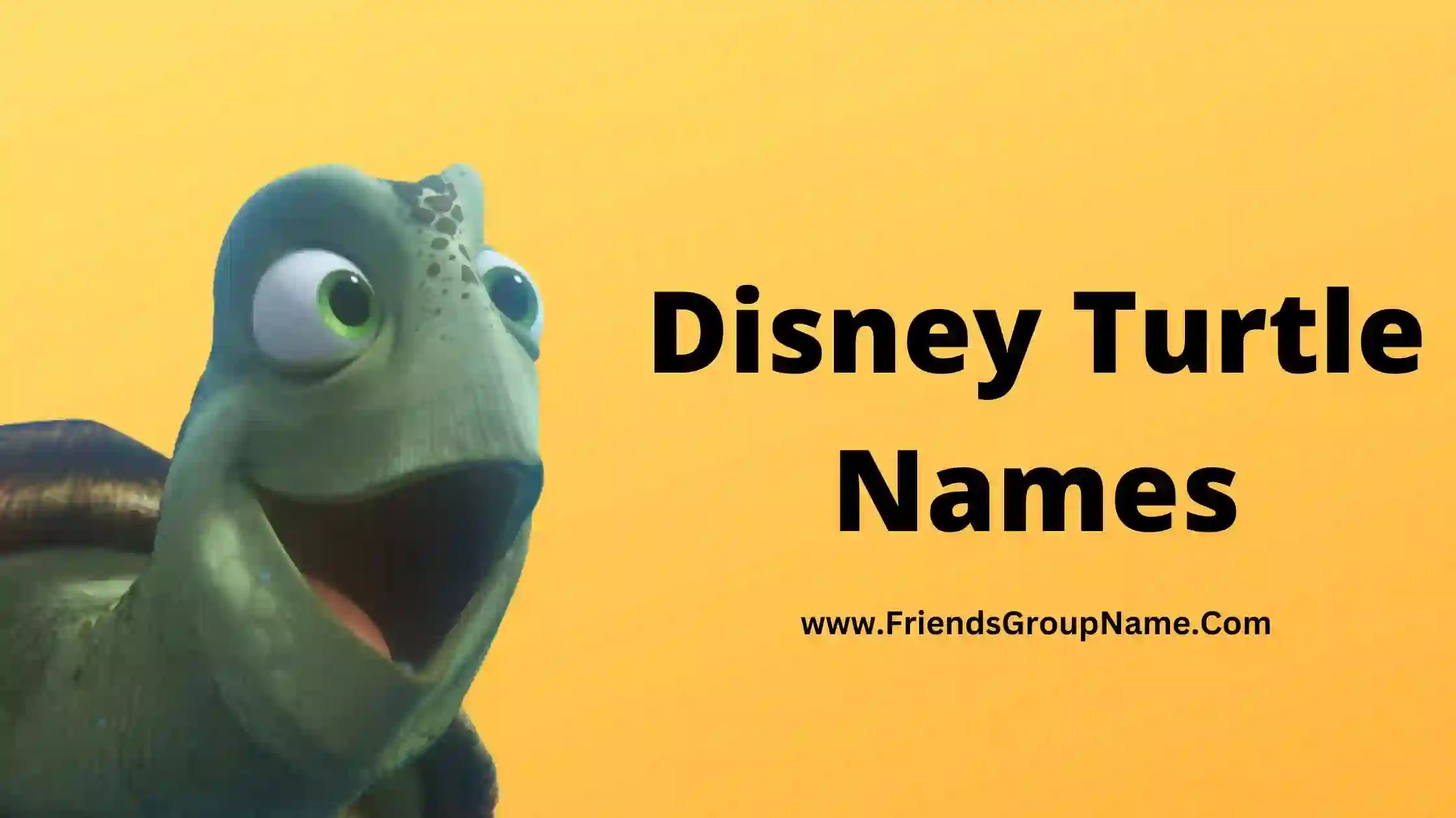 Disney Turtle Names【2024】Best, Funny & Good Names For Disney Turtle