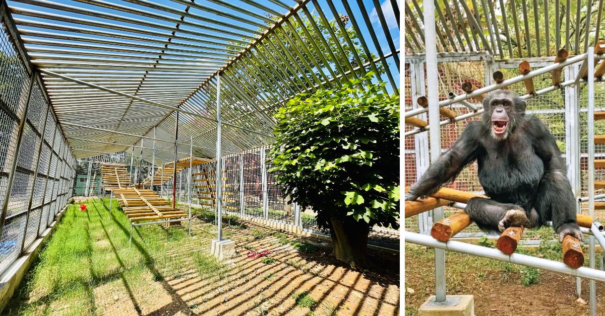 Friends of Animals Primarily Primates Sanctuary earns GFAS