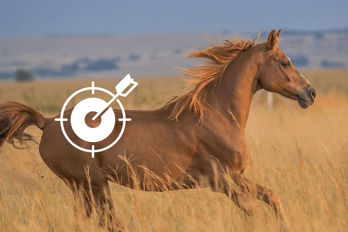 Friends of Animals For wild horse advocates, fertility control is a horrible hill to die on