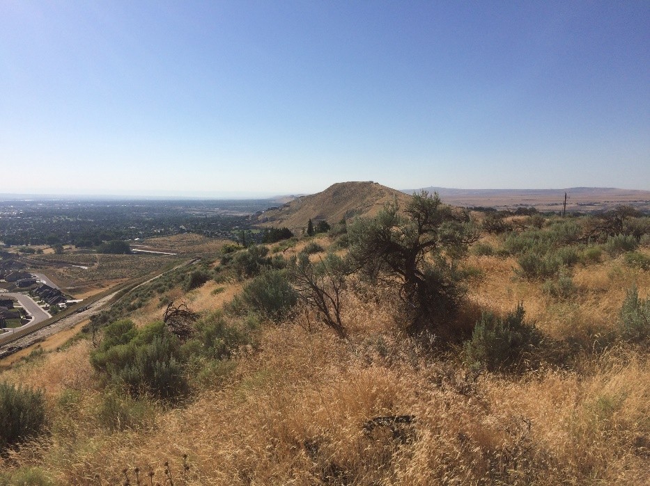 Little Badger Mountain Preserve Friends of Badger Mountain