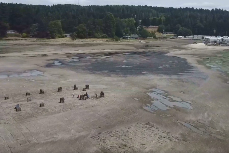 Friends of Burley Lagoon Purdy, Washington