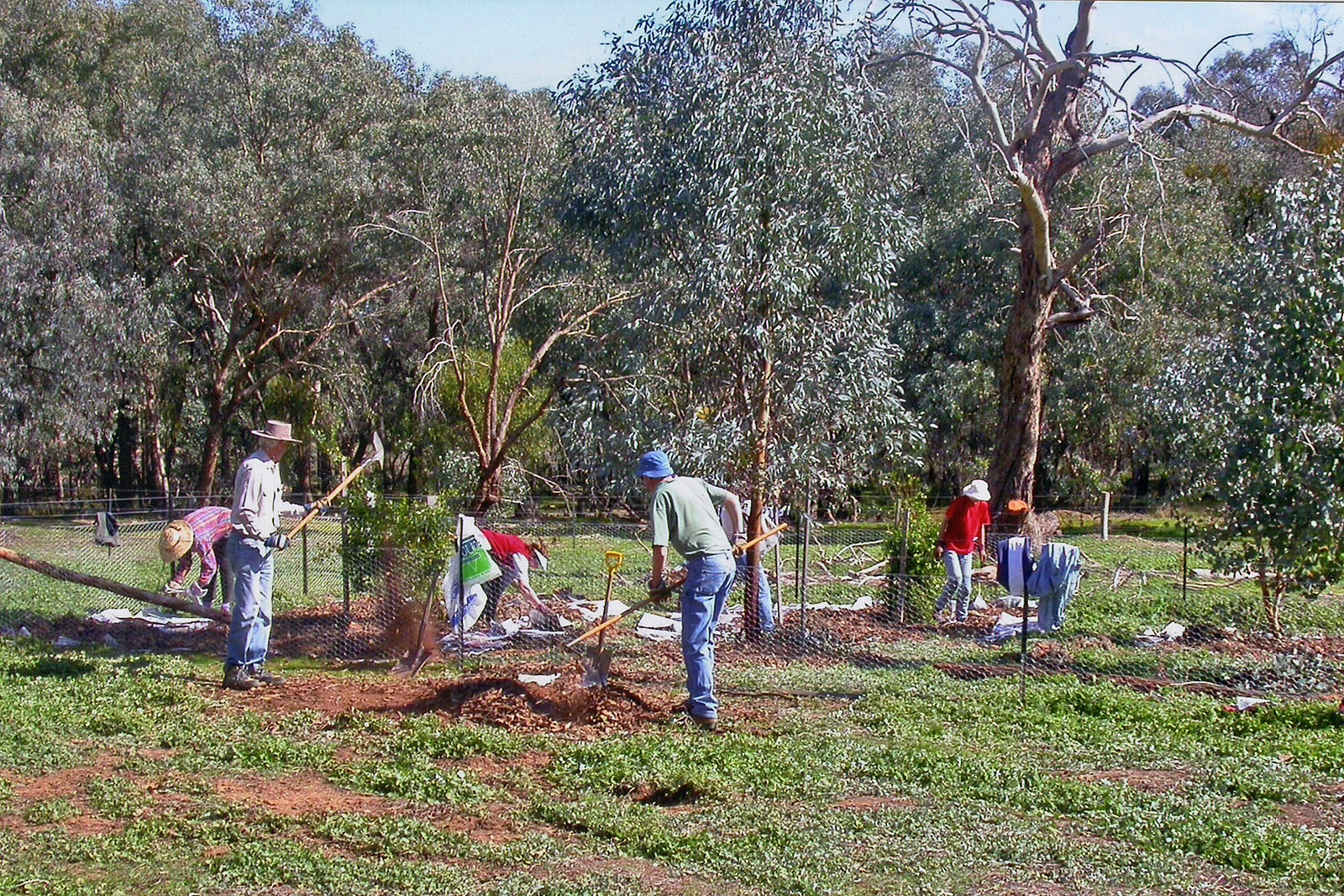 Friends of Chiltern Mt Pilot National Park Showcase the natural