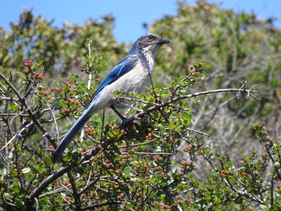 Learn About Edgewood Park and Natural Preserve Friends of Edgewood