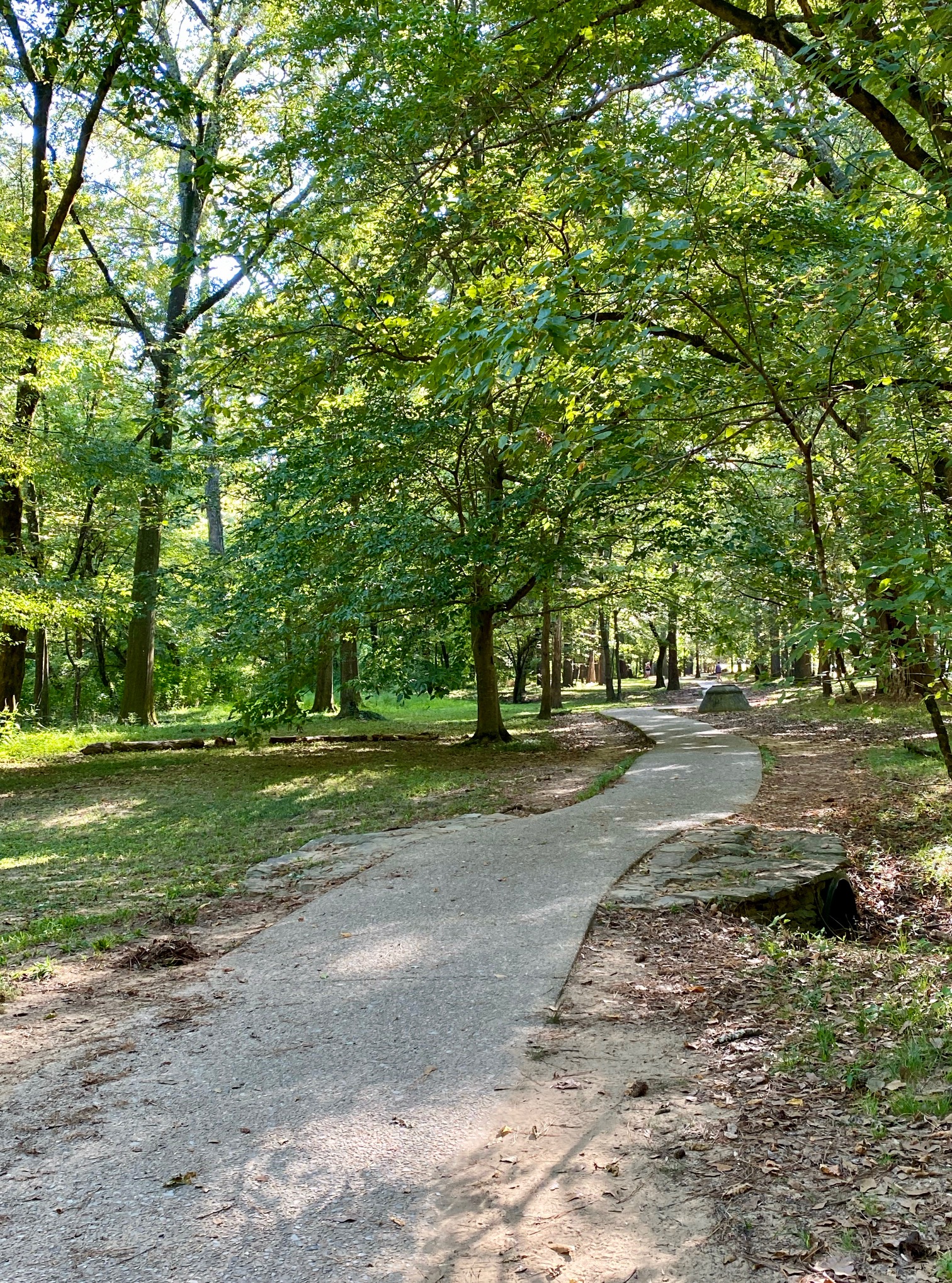 Friends of Jemison Park in Mountain Brook, Alabama.