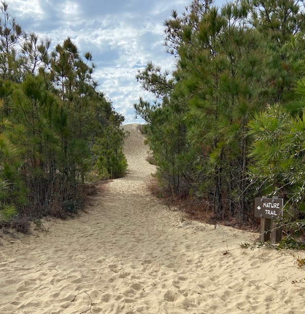 Barnes and Baum Join FOJR Board Friends of Jockey's Ridge