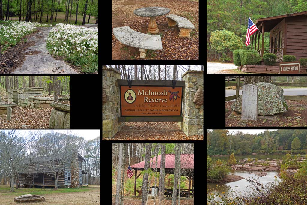 Mcintosh Reserve Fall Festival 2023 Cards - Friends Of Mcintosh Reserve, Inc.