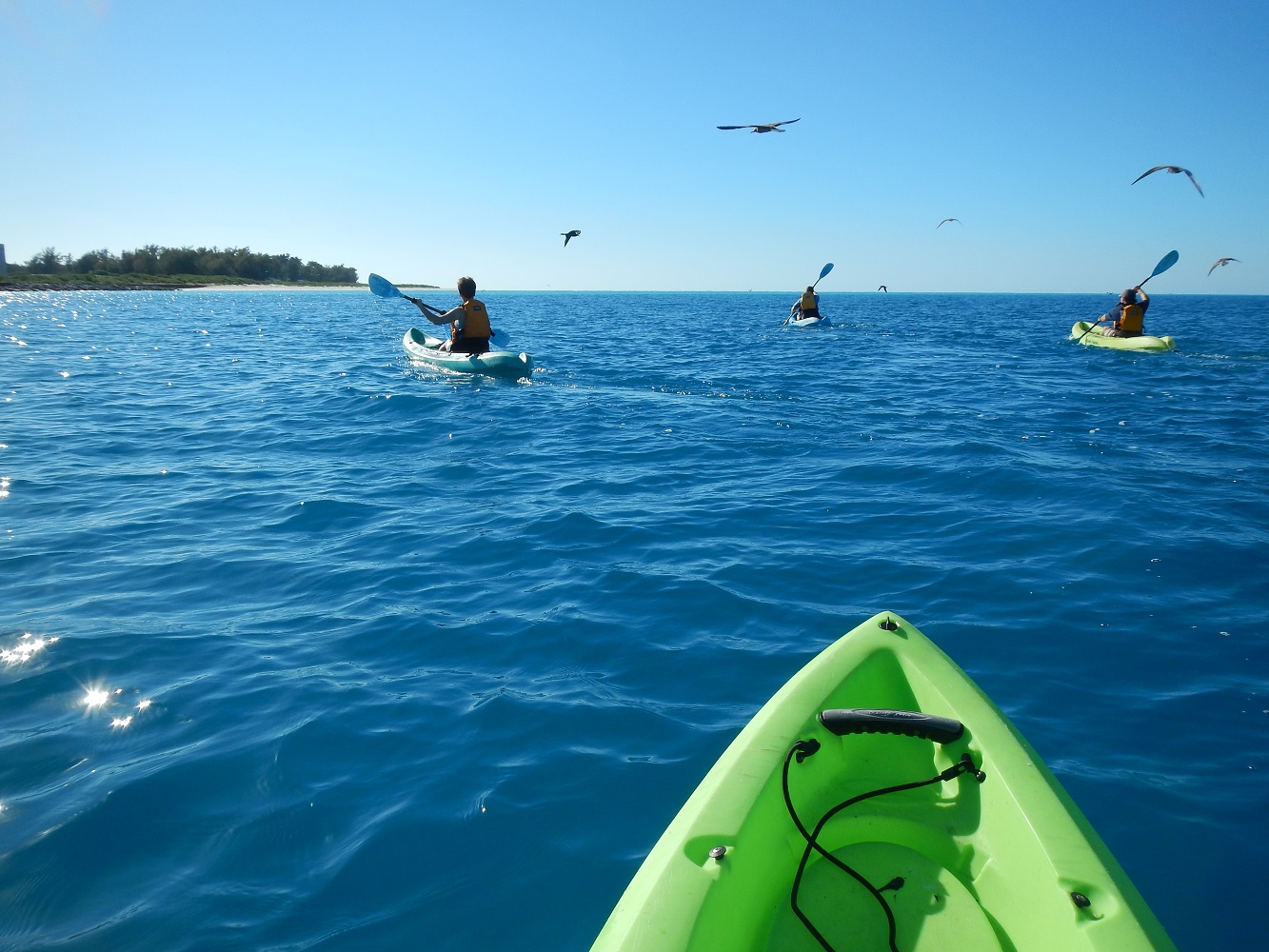 Kayaking Near North Beach Friends of Midway Atoll