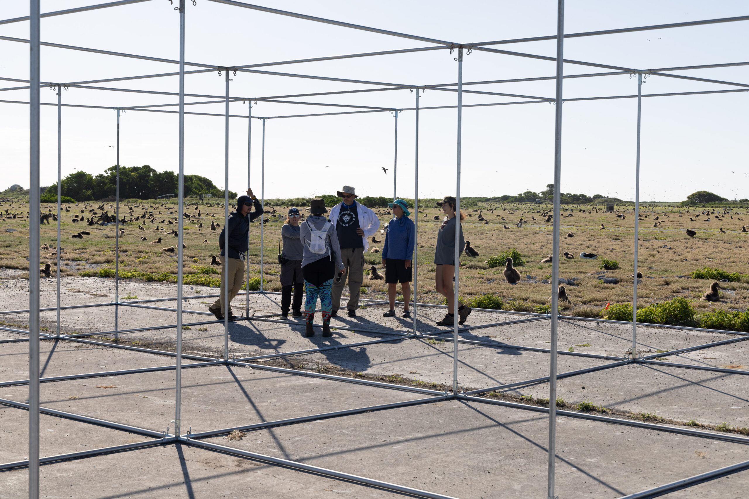 A group of six people chat before setting up the passerine aviaries