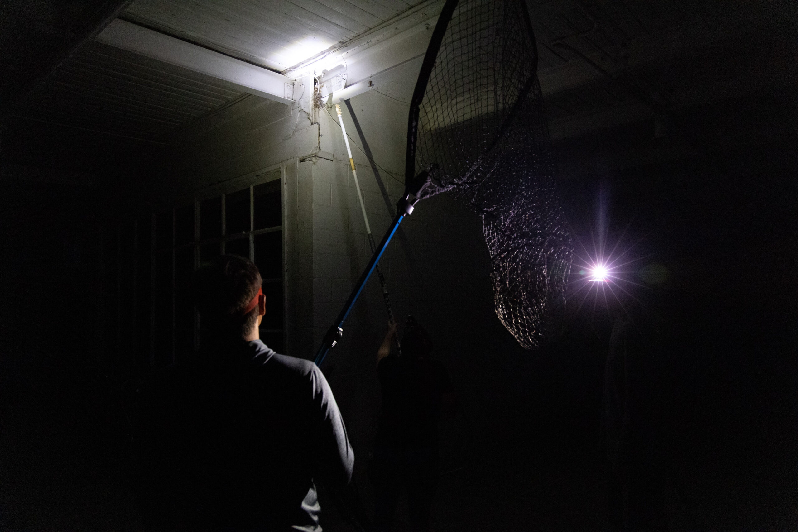 One person holds a large net in the dark with a headlamp