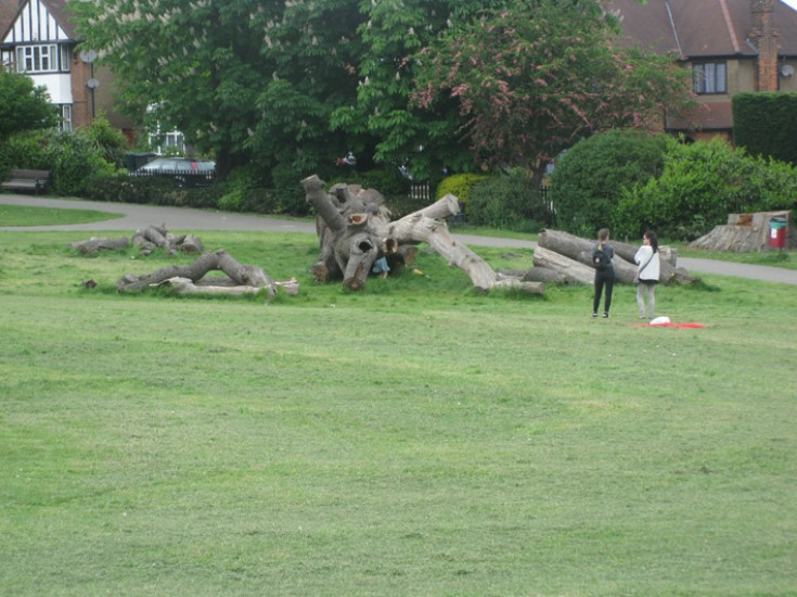 Friern and Finchley Photo Archive Friary Park