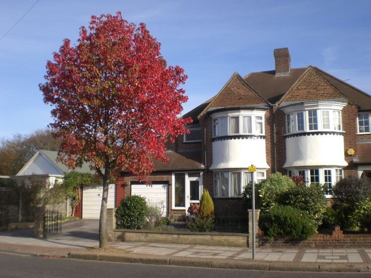 Friern and Finchley Photo Archive Friern Lane, N20