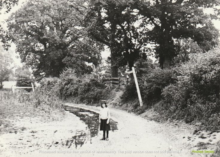 Friern and Finchley Photo Archive 1904 Dollis Brook with girl