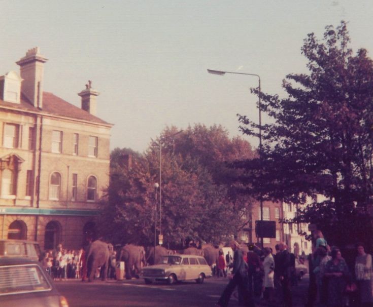 Friern and Finchley Photo Archive Station Road, N11