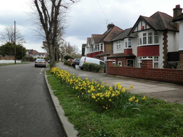 Friern and Finchley Photo Archive Friary Road