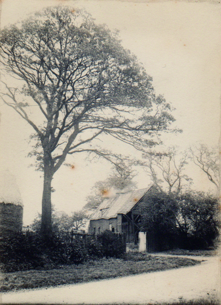 Friern Photo Archive Friern Lane