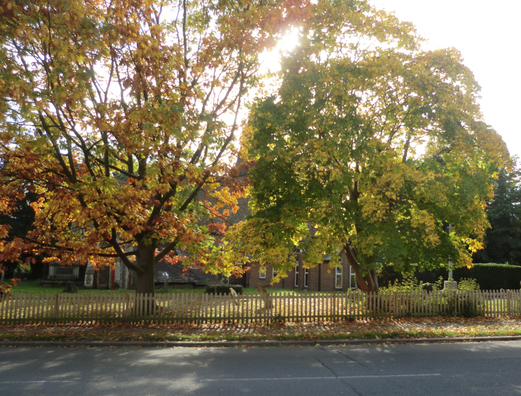 Friern Photo Archive Friern Lane