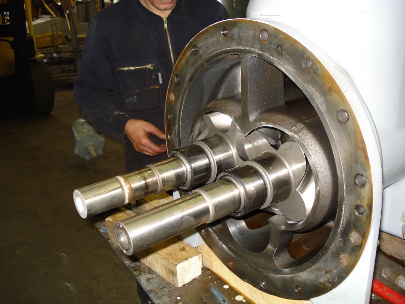 BAKERY MAURITIUS Frigo Plus