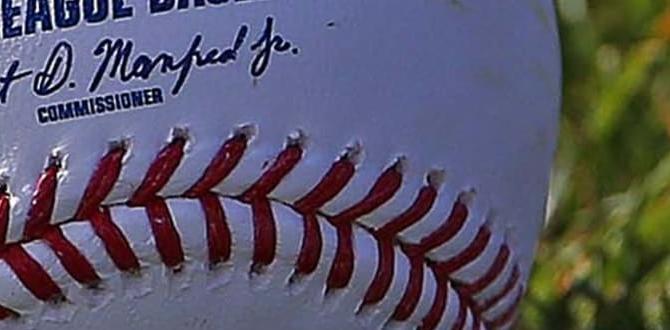 baseball net for hitting baseball net for hitting