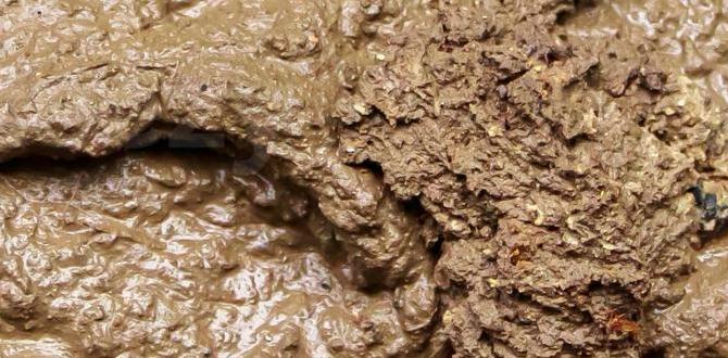 mud for baseballs mud for baseballs