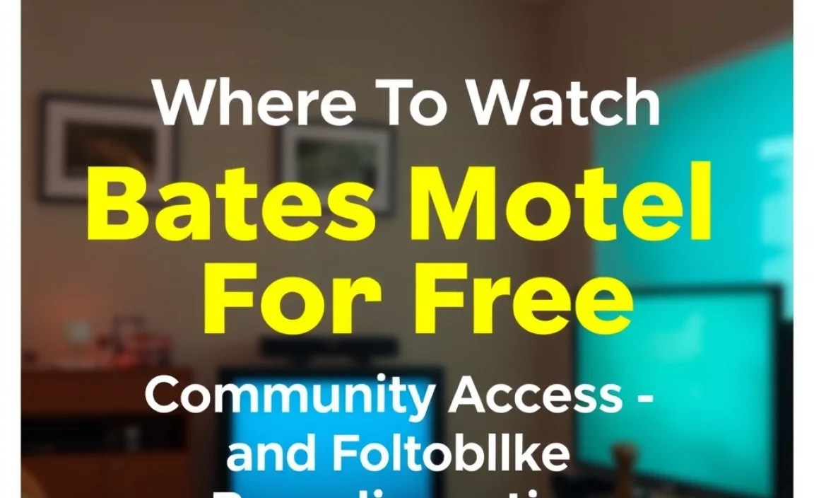 Community Access and Public Broadcasting