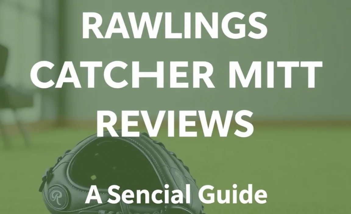 Comparing Popular Models: A Quick Look