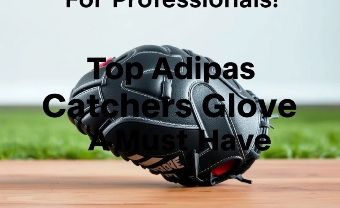 Maintenance and Care Tips