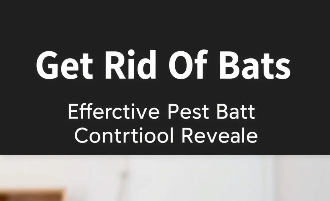 Professional Pest Control Services