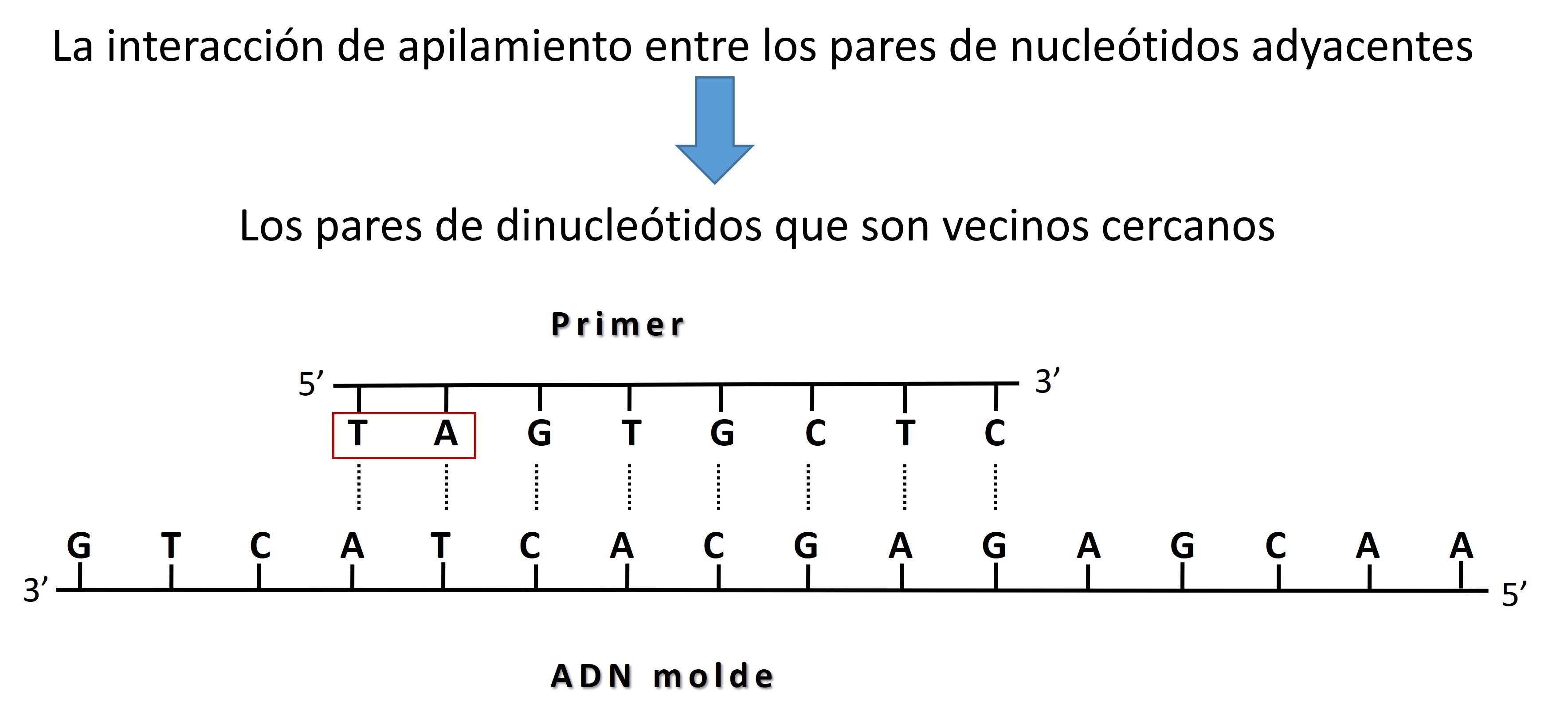 Diseño De Primers Para PCR Felipe Riveroll Aguirre
