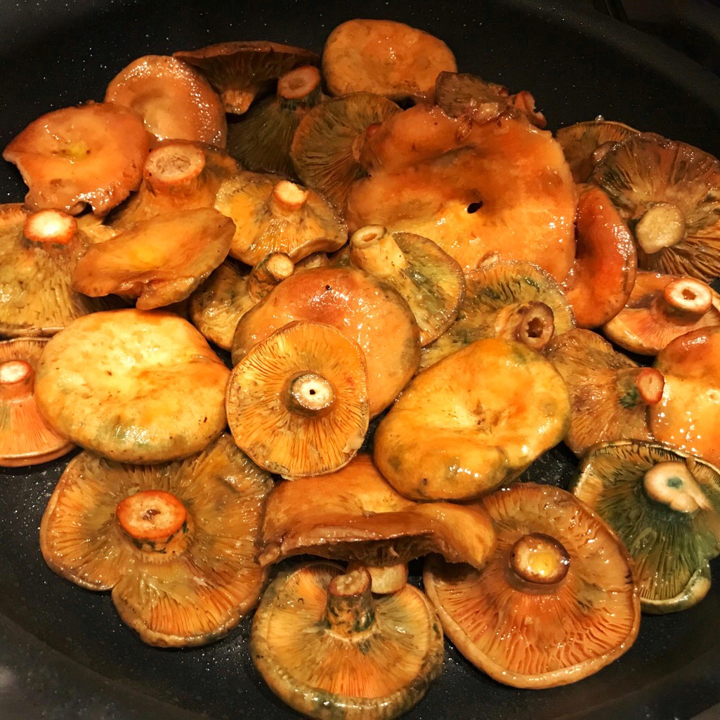 MilkCup Red Mushrooms in a Saucepan Frixos Personal Chefing
