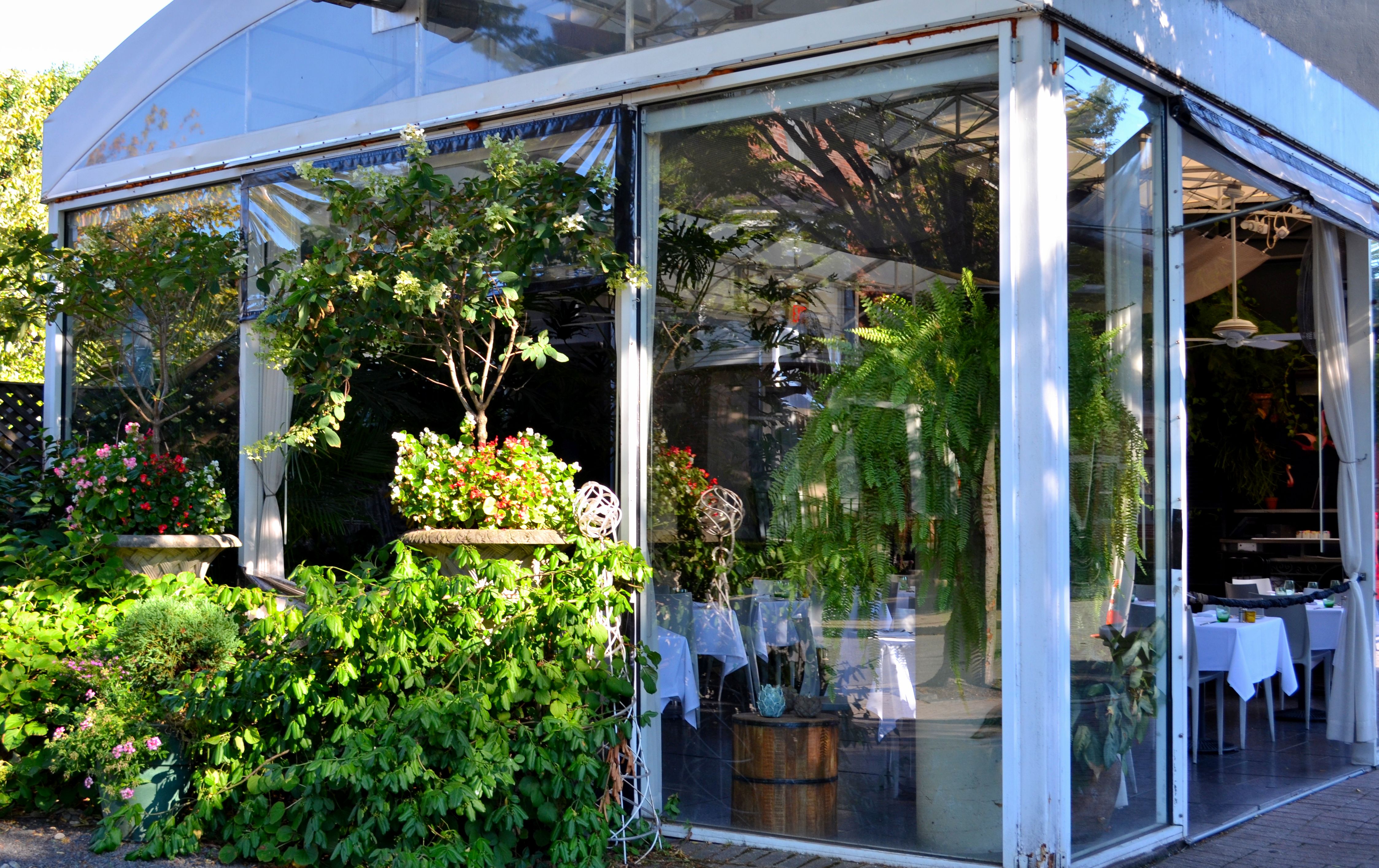 Outdoor Dining Dinner Frog and Peach