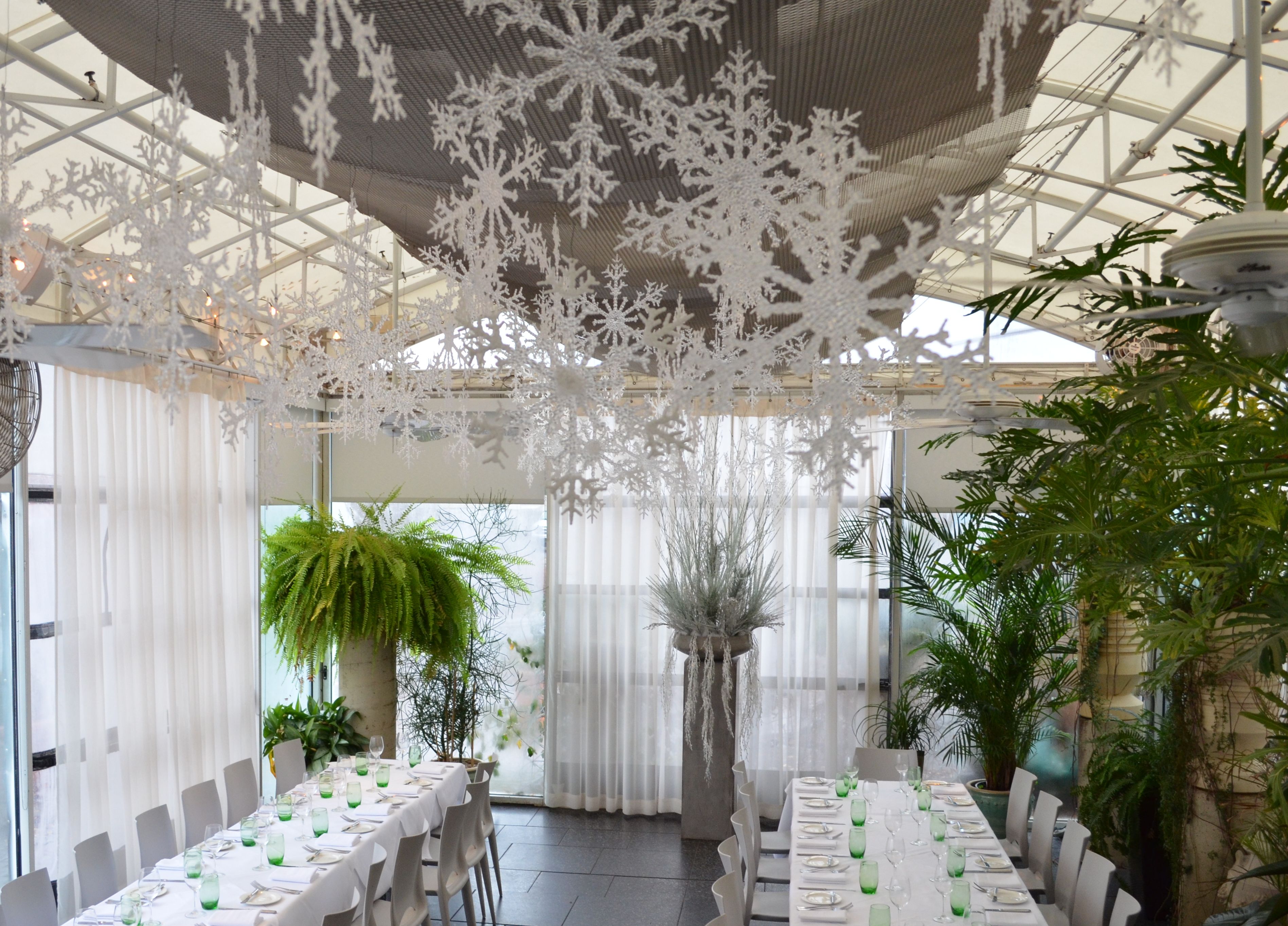 The Frog and The Peach