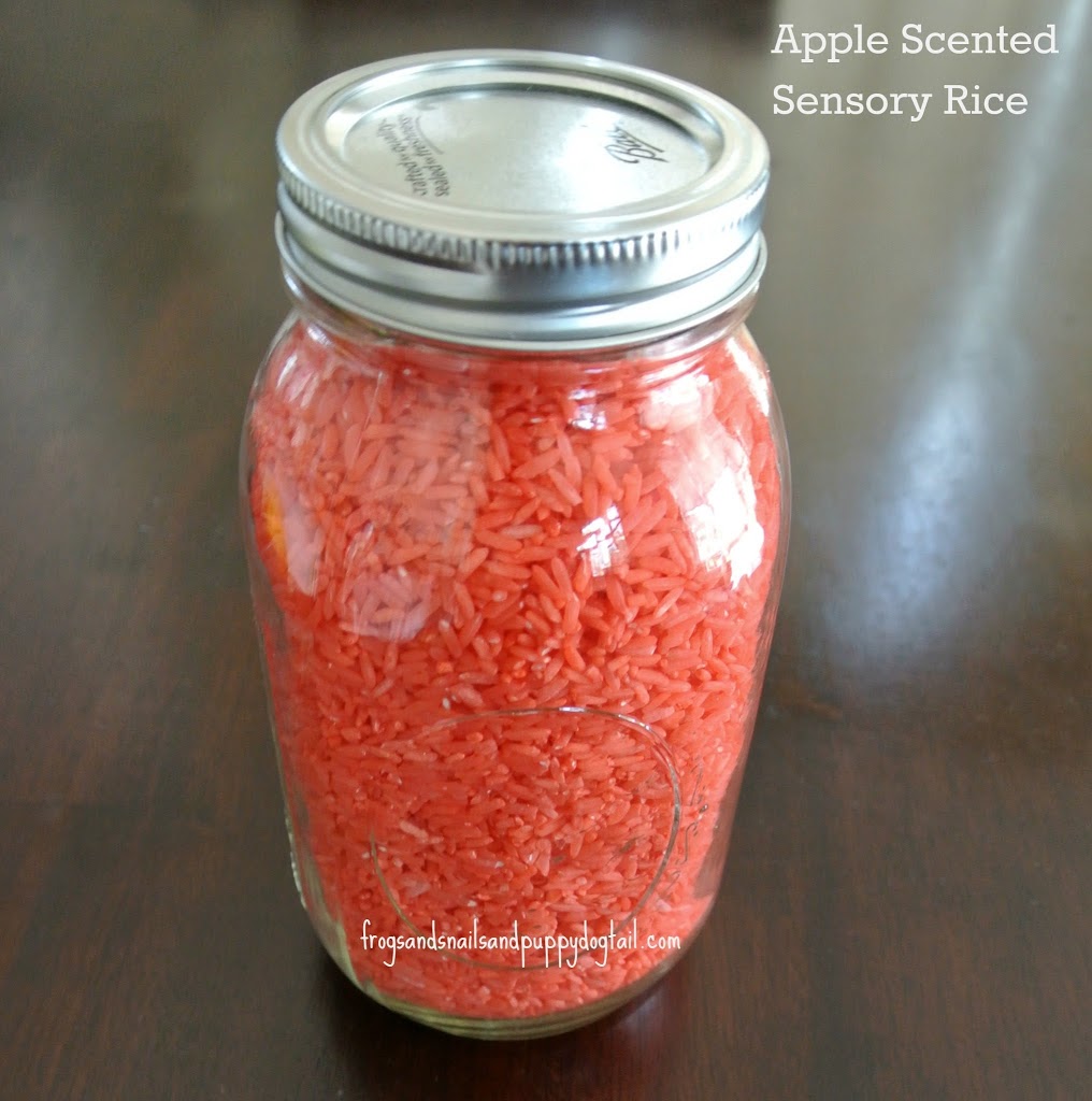 Pumpkin Spice Sensory Rice Recipe FSPDT