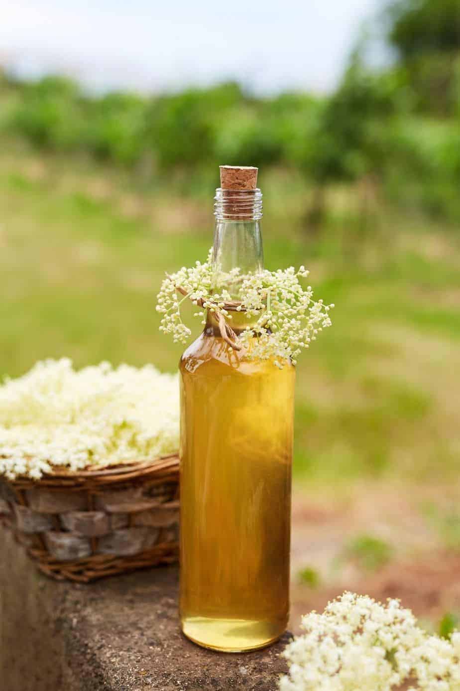 How To Make Elderflower Simple Syrup Frolic & Fare
