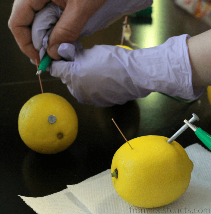 Lemon Battery Experiment Girls in STEM From ABCs to ACTs