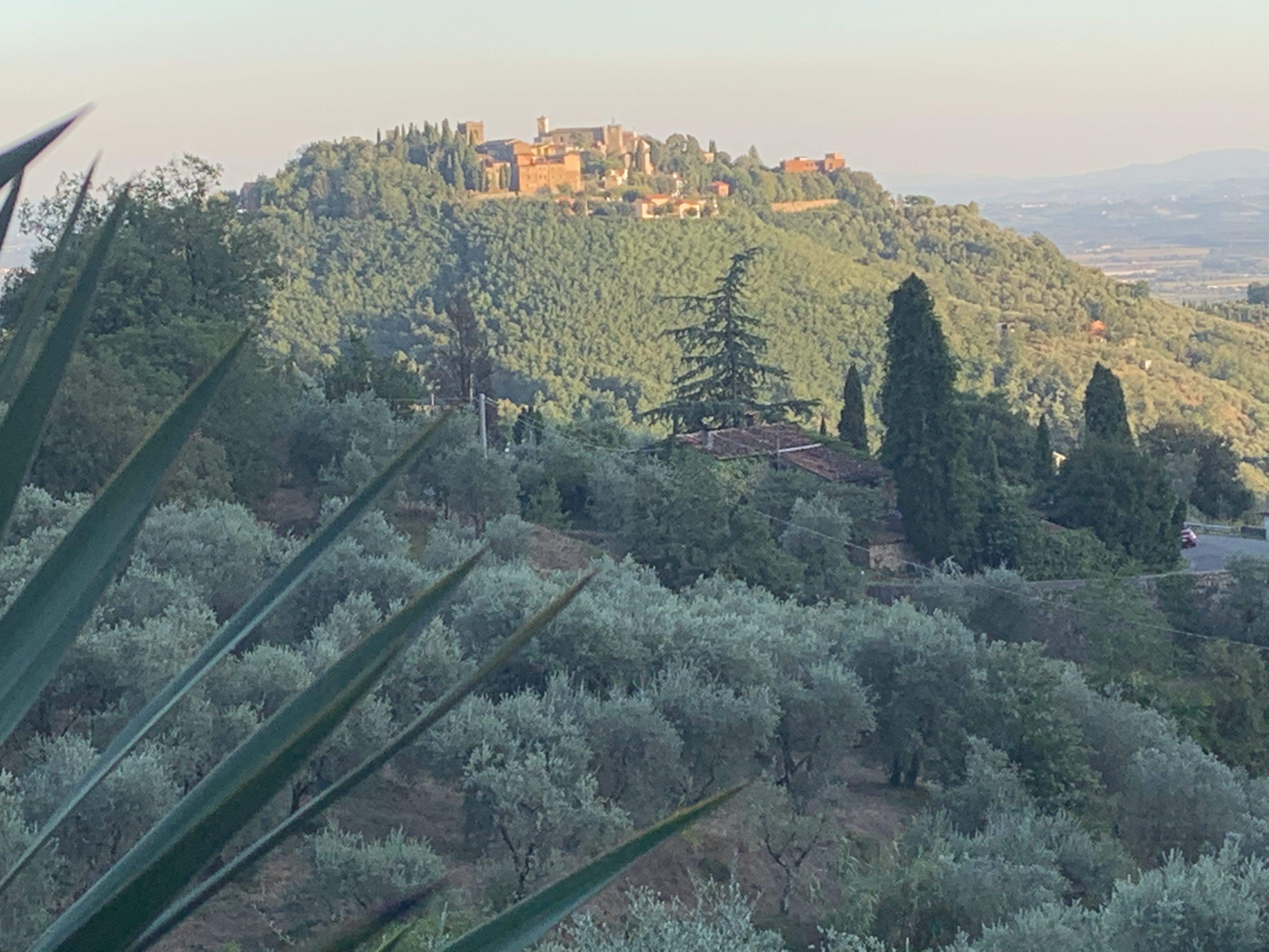 Monte Alto From A Bird's Eye View