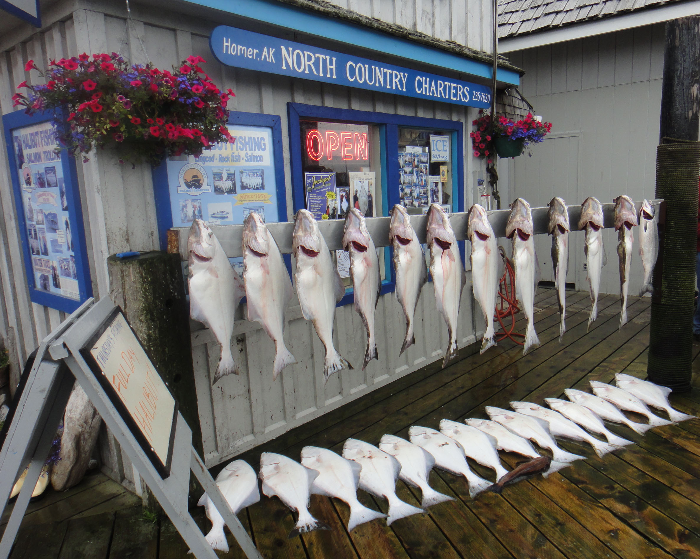 Homer Halibut Fishing fromalaskatobrazil