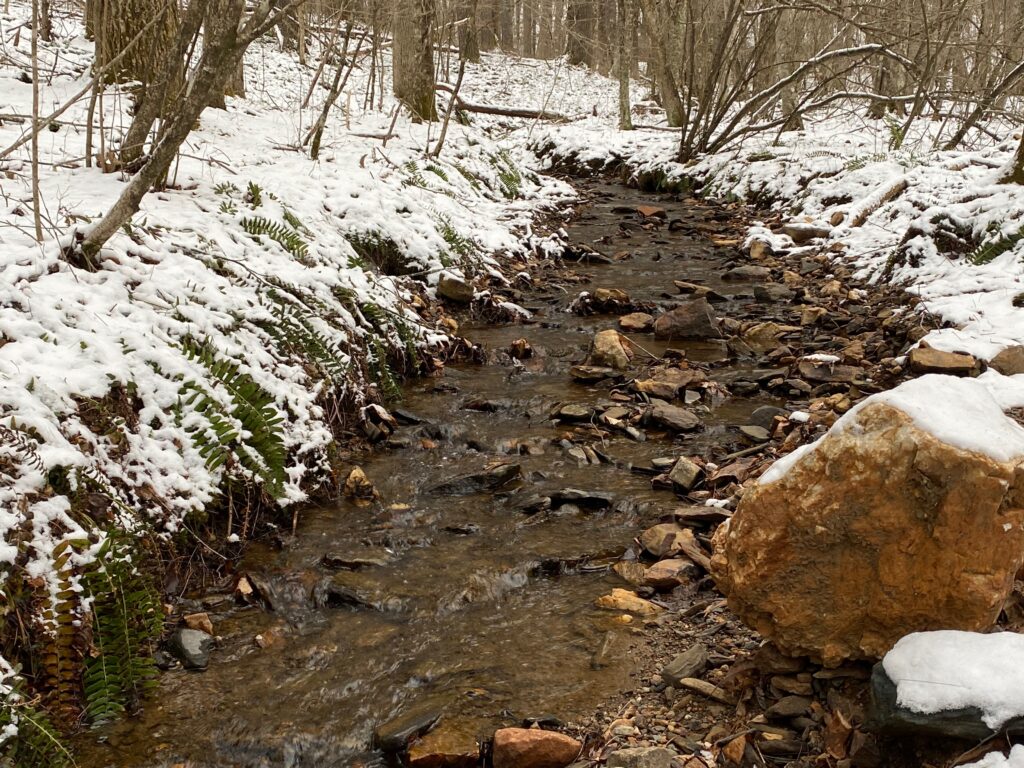 Walking up Laurel Fork Road From a Rocky Hillside