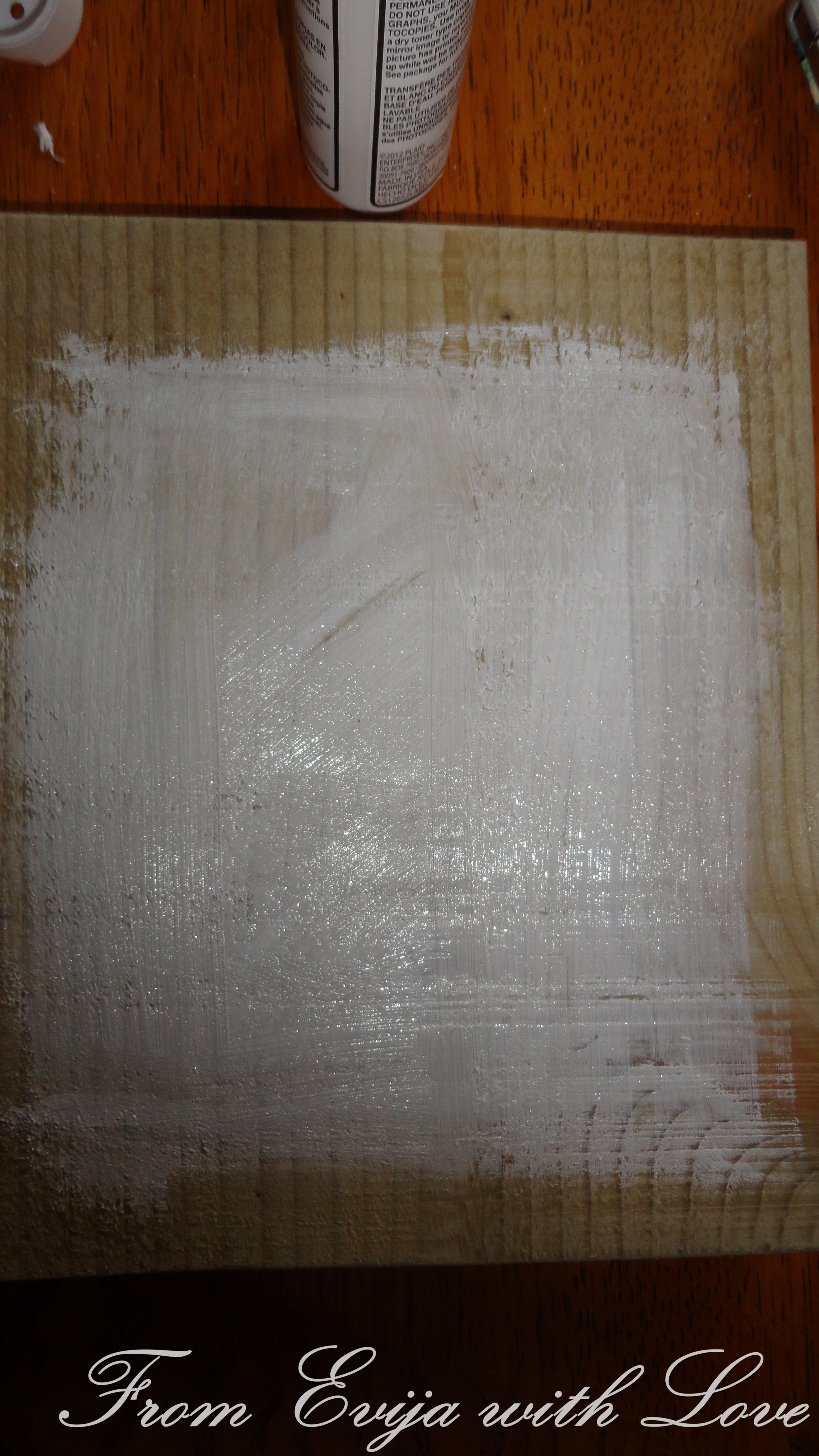Photo Transfer on Wood Mod Podge Project From Evija with Love