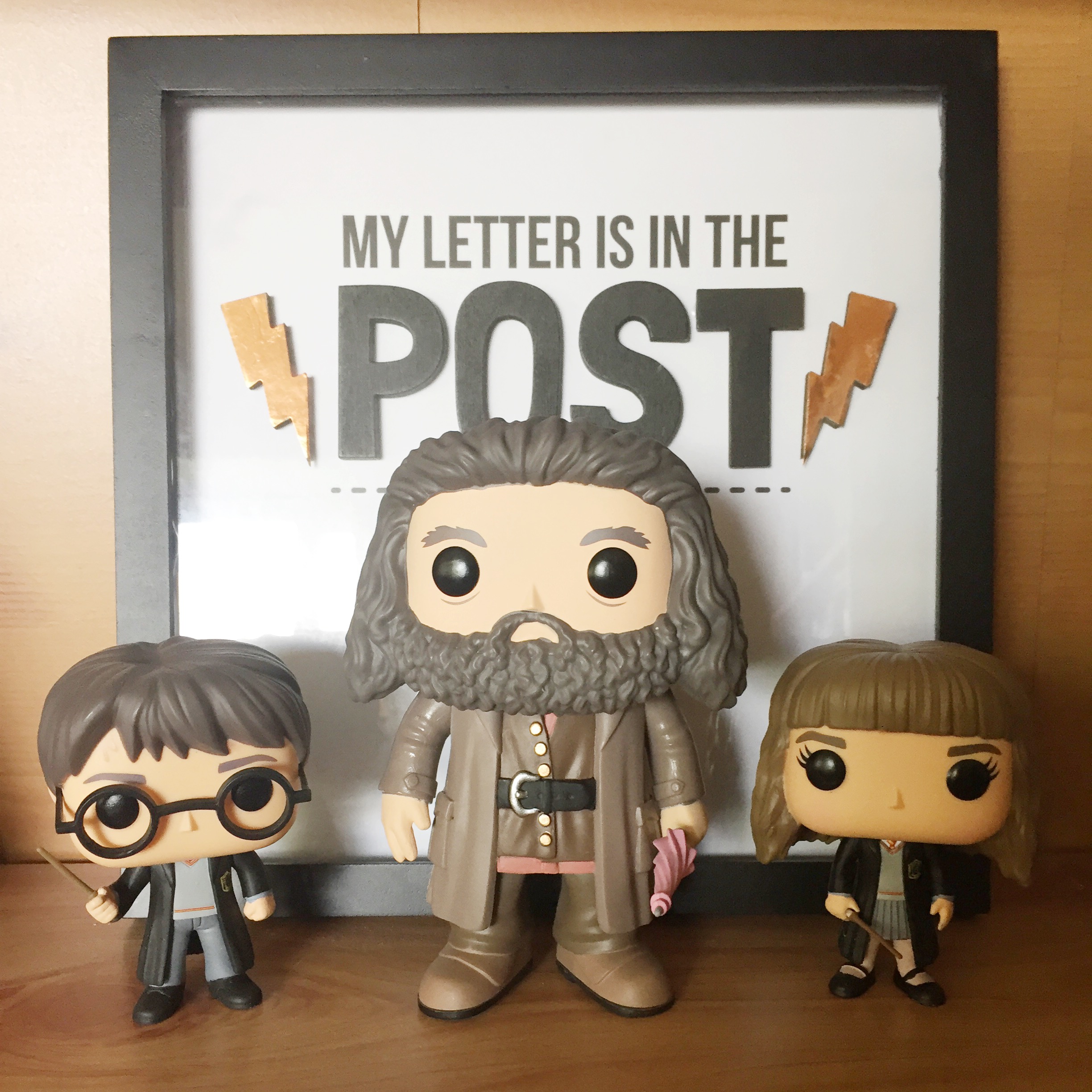 Funko Pop Vinyls Collection From Fiona
