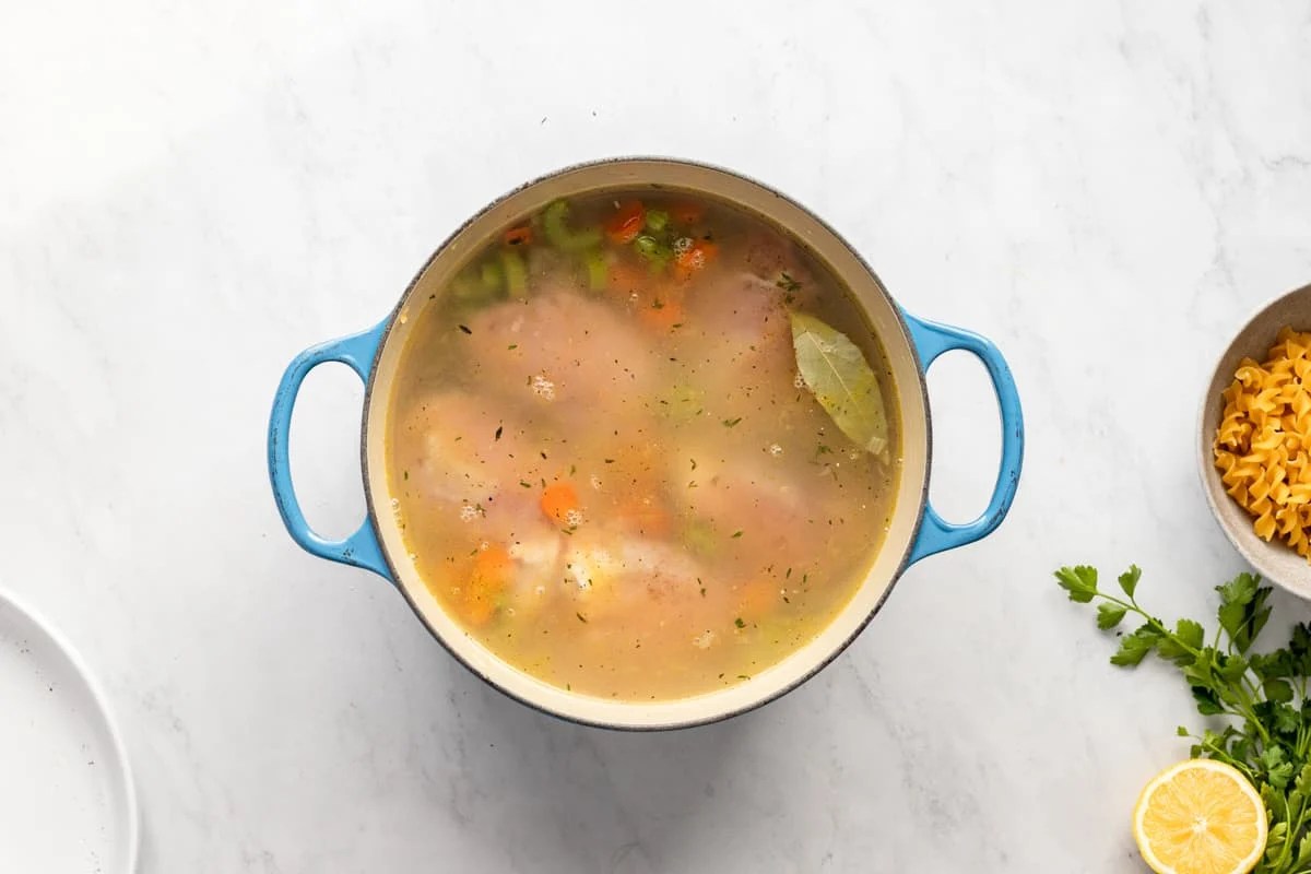 Easy Homemade Chicken Soup from Scratch From Scratch Fast