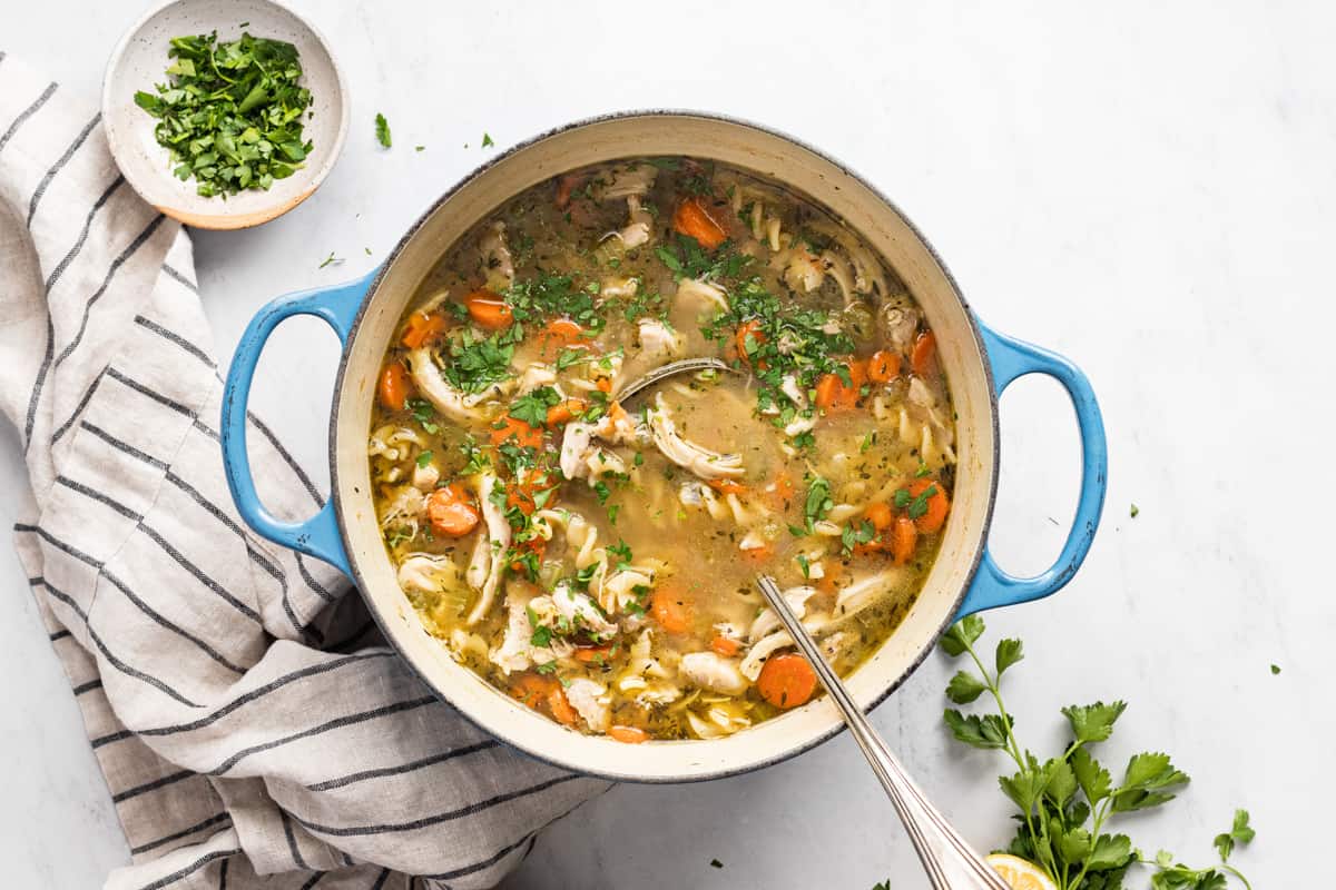 Easy Homemade Chicken Soup from Scratch From Scratch Fast