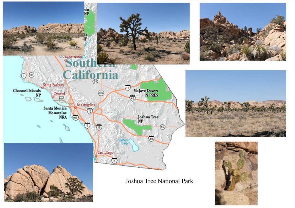 Carte Parcs Nationaux Californie Parcs nationaux de Californie Joshua Tree National Park