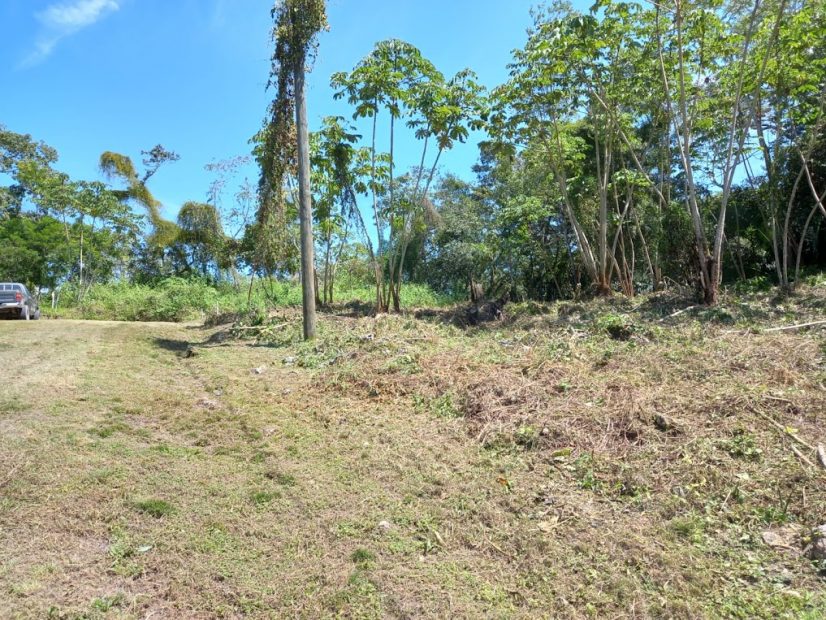 Selecting Land in Belize Our Journey to Belize