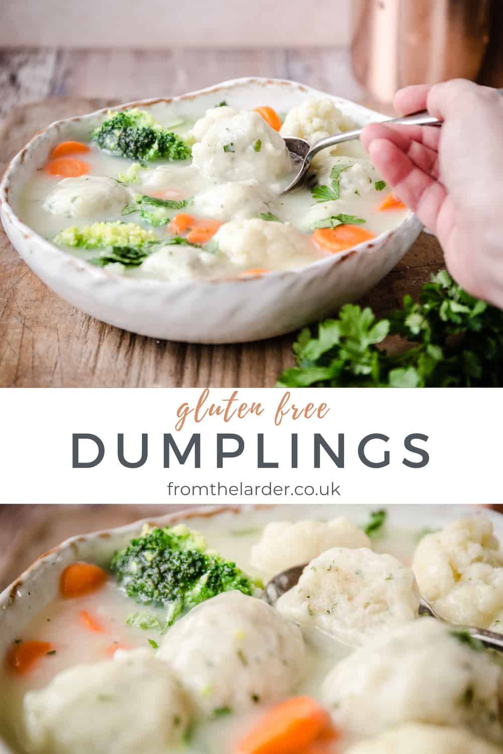 GlutenFree Dumplings (for stew) From The Larder(028)